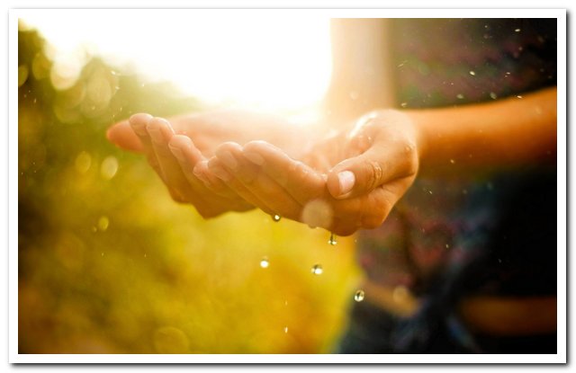 Влияние благодарности на жизнь человека