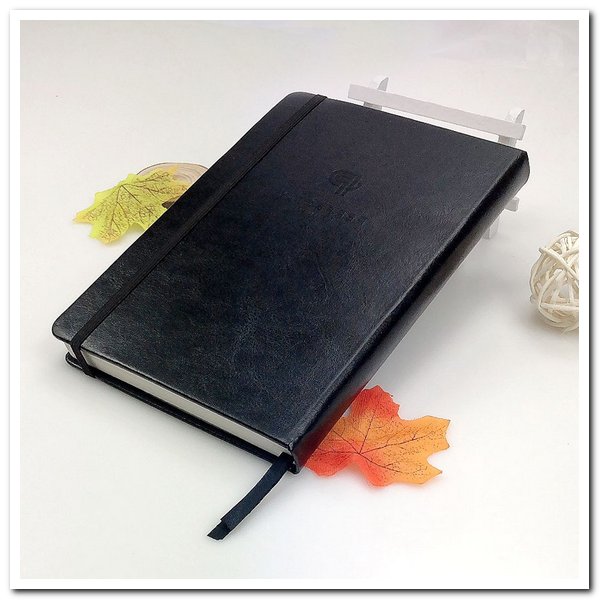 Дневник спортивных достижений